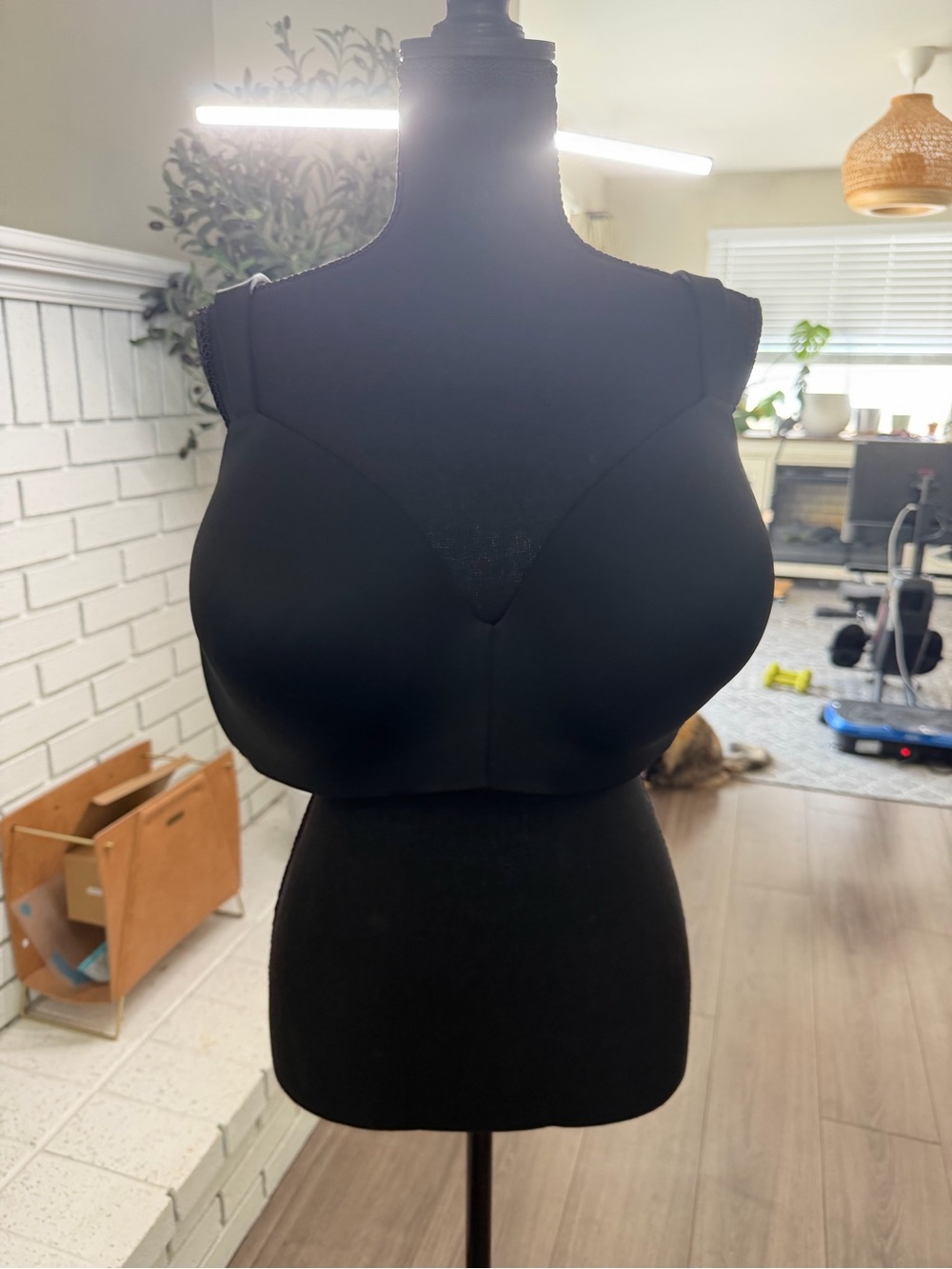Cacique Black Wireless High-Neck Comfort Bra